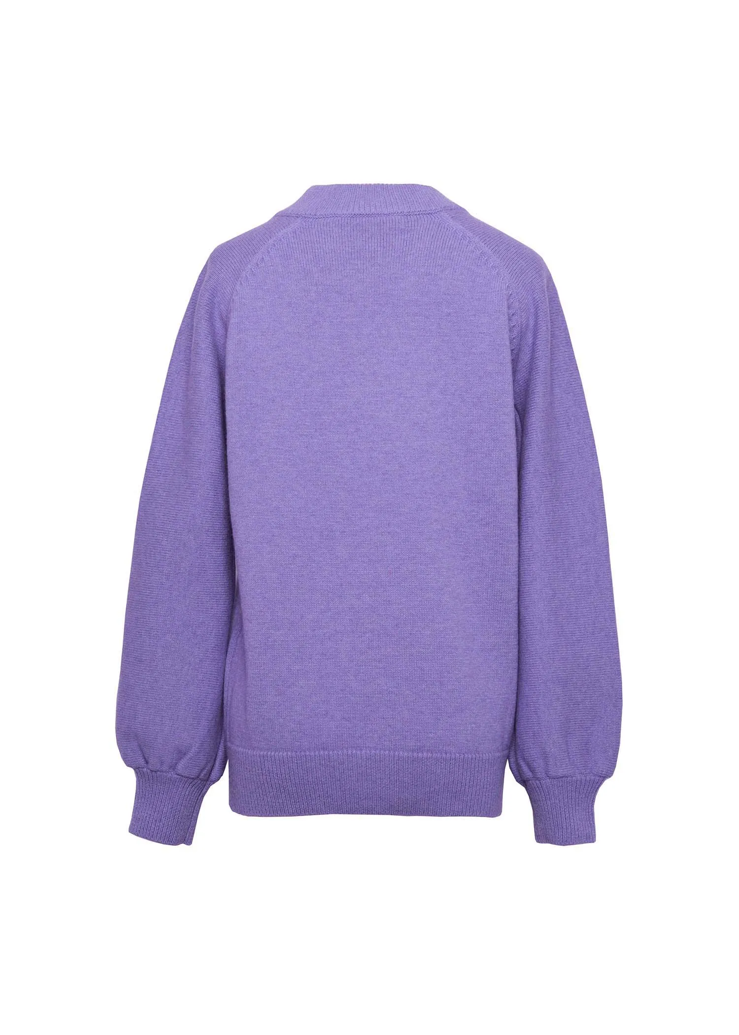 Buddleja Jumper