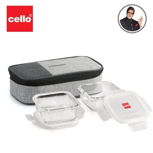 Delighta Borosilicate Glass Lunch Box with Jacket, Square