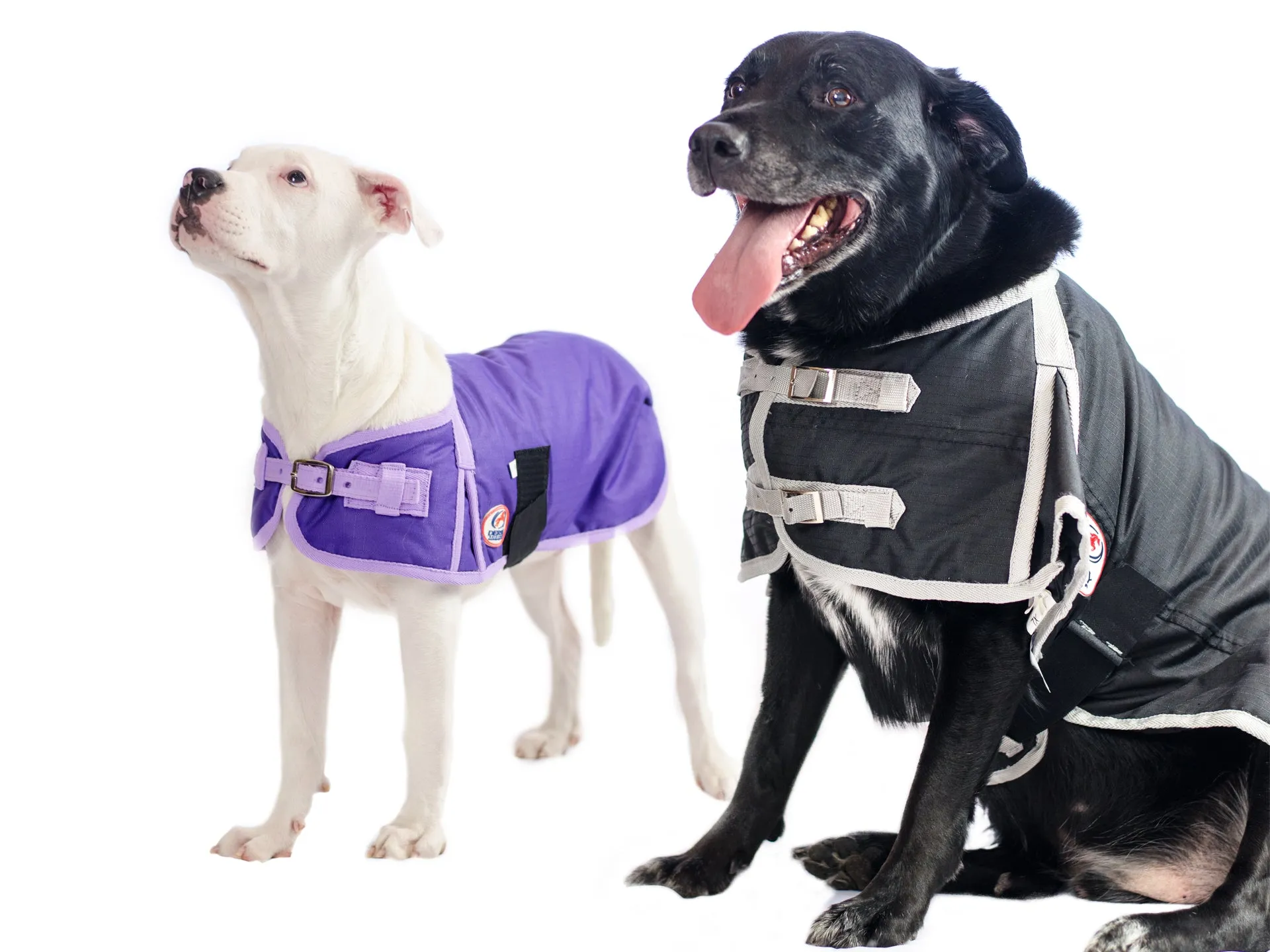 Derby Originals Solid Color Horse-Tough 600D Waterproof Ripstop Nylon Winter Dog Coat with One Year Warranty*