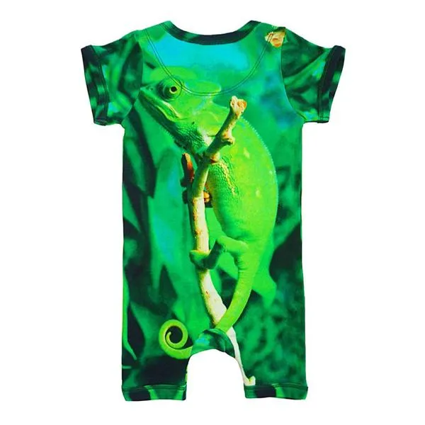 Inchworm Alley Organic Short Romper - Chameleon - 0 to 3 Months