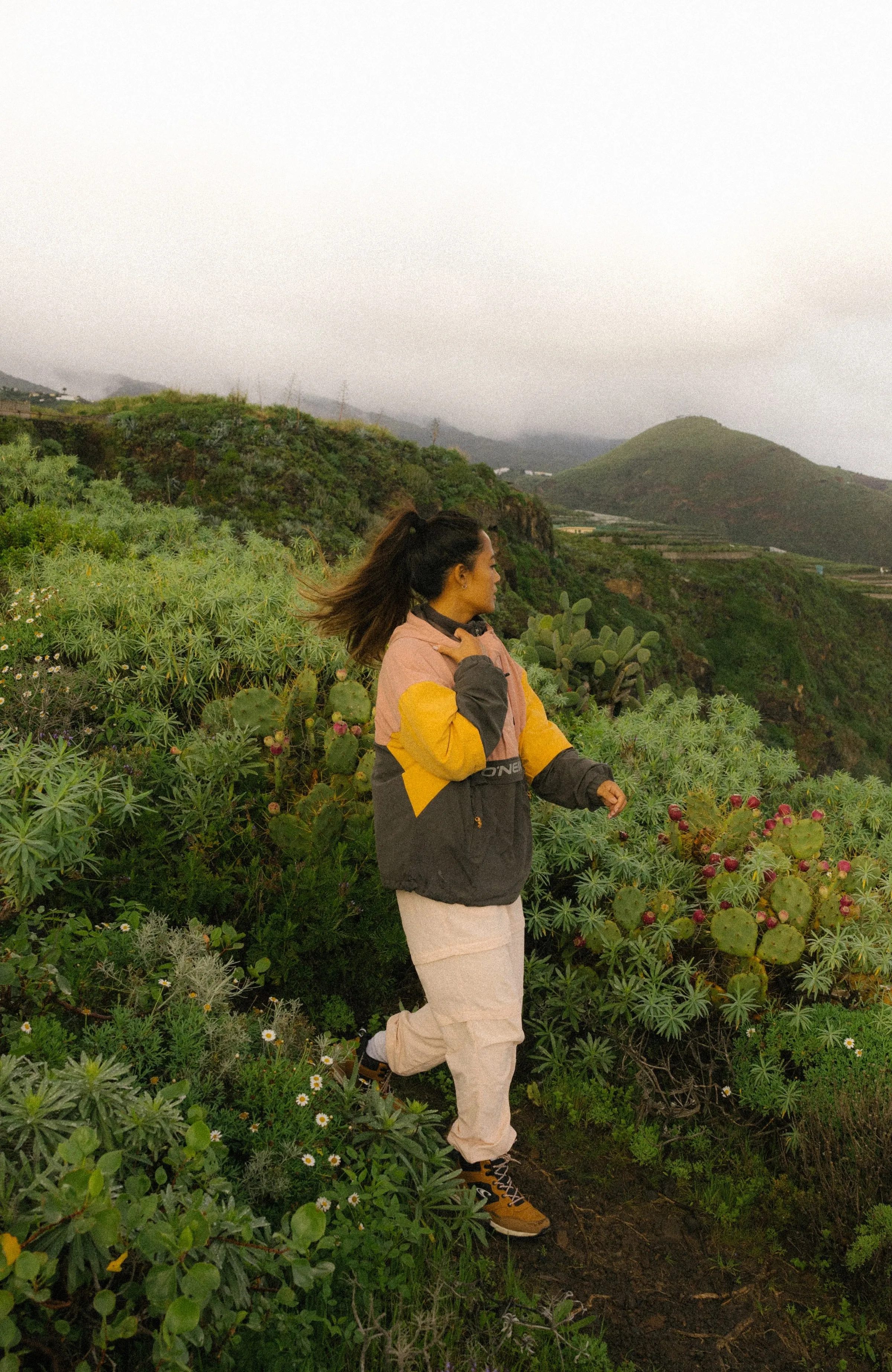 Modular Anorak Jacket | Ash Rose Colour Block