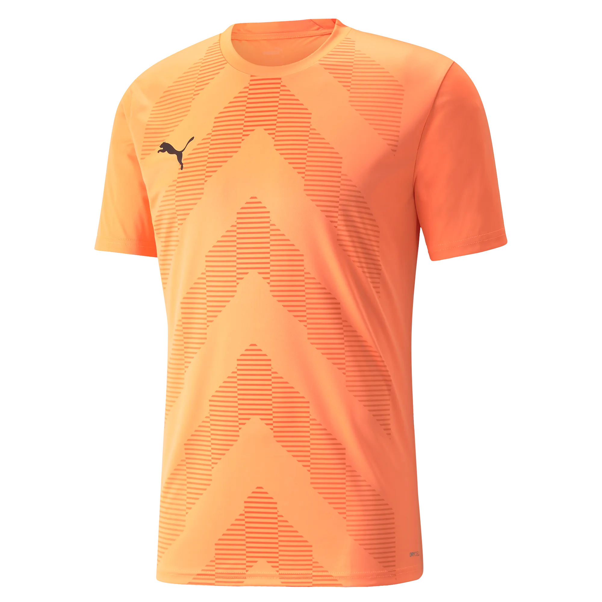 Puma Team Glory Short Sleeve Goalkeeper Shirt