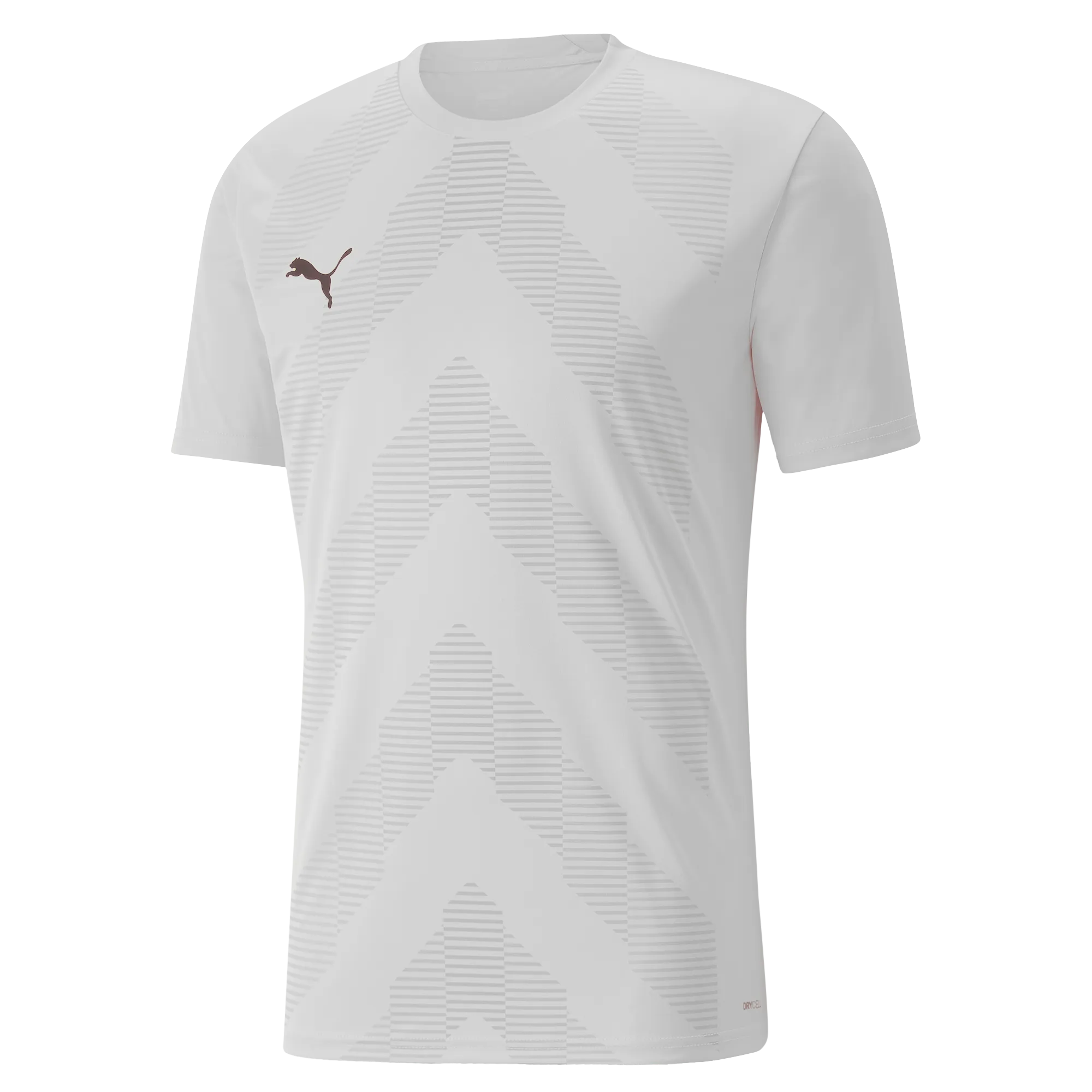 Puma Team Glory Short Sleeve Goalkeeper Shirt