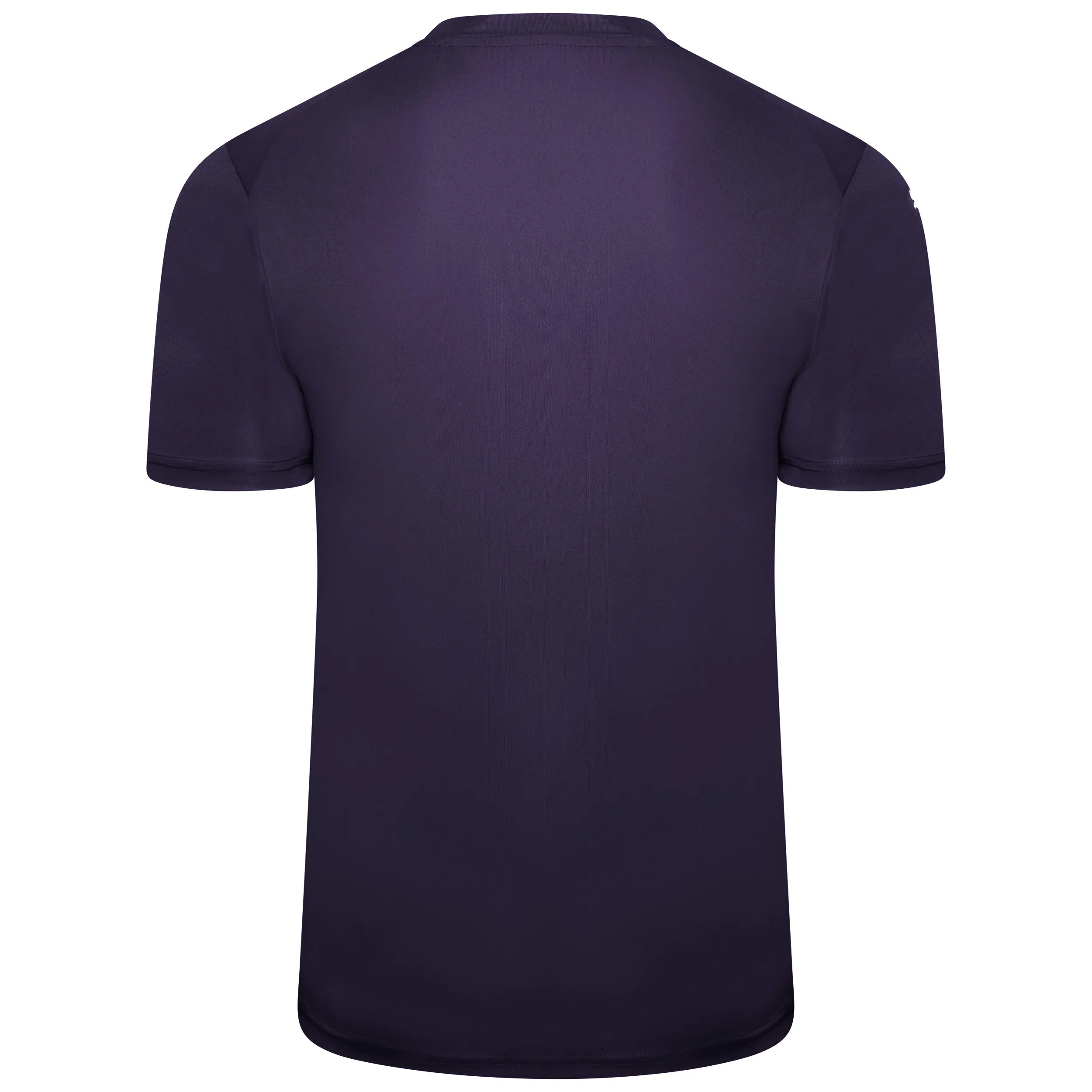 Puma Team Glory Short Sleeve Goalkeeper Shirt