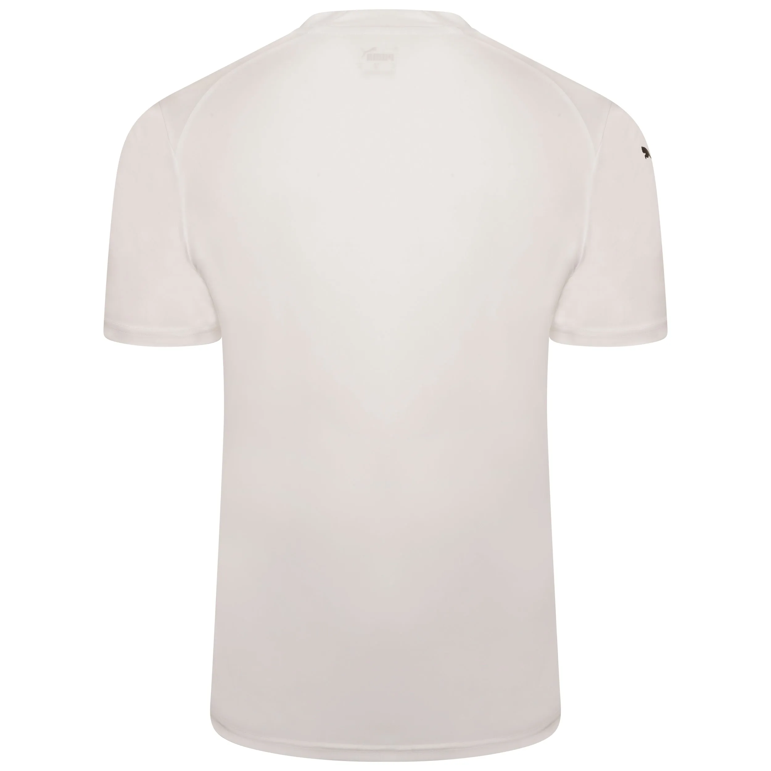 Puma Team Glory Short Sleeve Goalkeeper Shirt