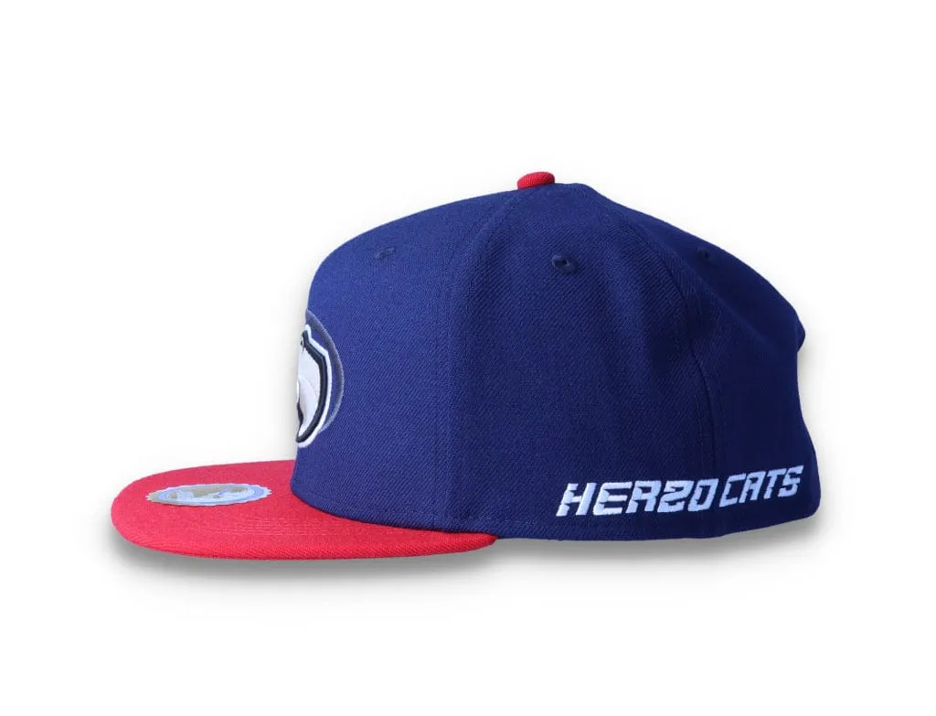 Snapback Cap Hometown Heroes Basketball Peacoat/Puma Red